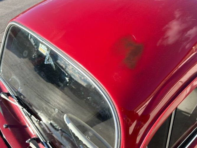 Unknown-Beetle-1965-Red-White-6