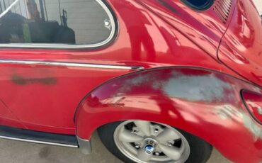 Unknown-Beetle-1965-Red-White-8