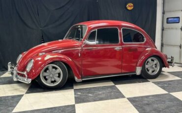 Unknown-Beetle-1965-Red-White-9