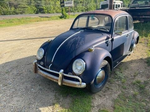 Unknown-Beetle-1965