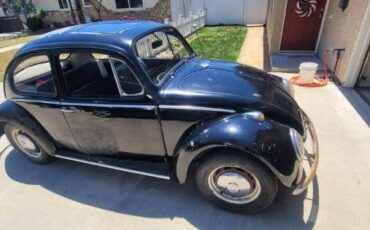 Unknown-Beetle-1966-1