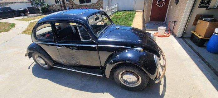 Unknown-Beetle-1966-1