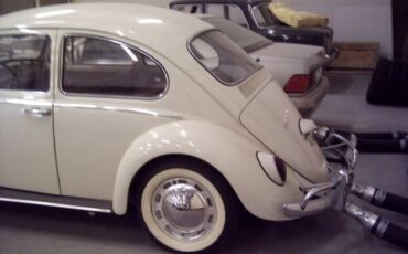 Unknown-Beetle-1966-1