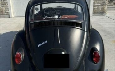 Unknown-Beetle-1966-1