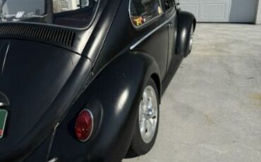 Unknown-Beetle-1966-11