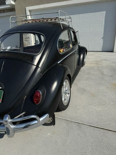 Unknown-Beetle-1966-11