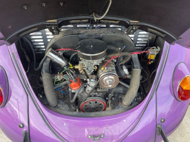 Unknown-Beetle-1966-16