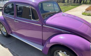 Unknown-Beetle-1966-19