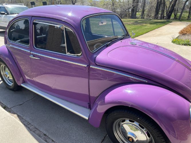 Unknown-Beetle-1966-19