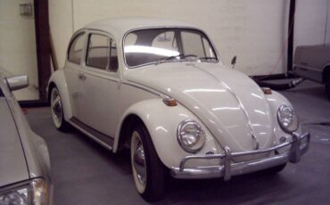 Unknown-Beetle-1966-2