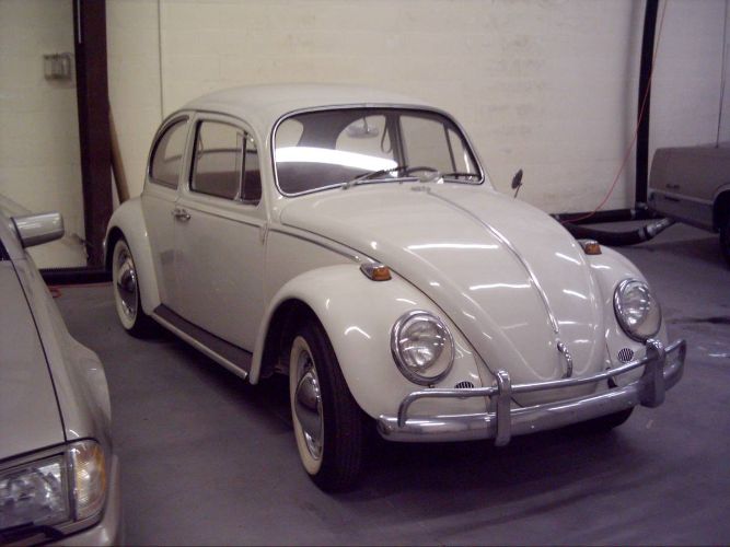 Unknown-Beetle-1966-2