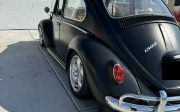 Unknown-Beetle-1966-2