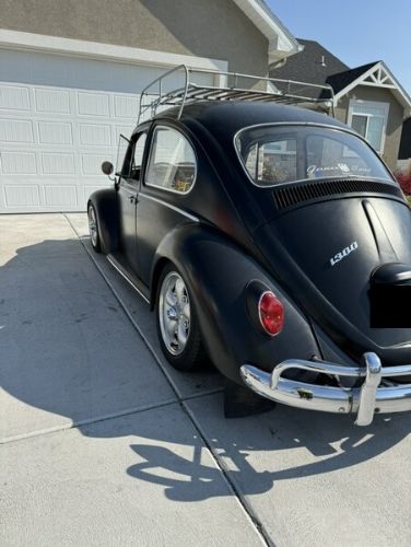 Unknown-Beetle-1966-2