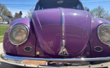 Unknown-Beetle-1966-20