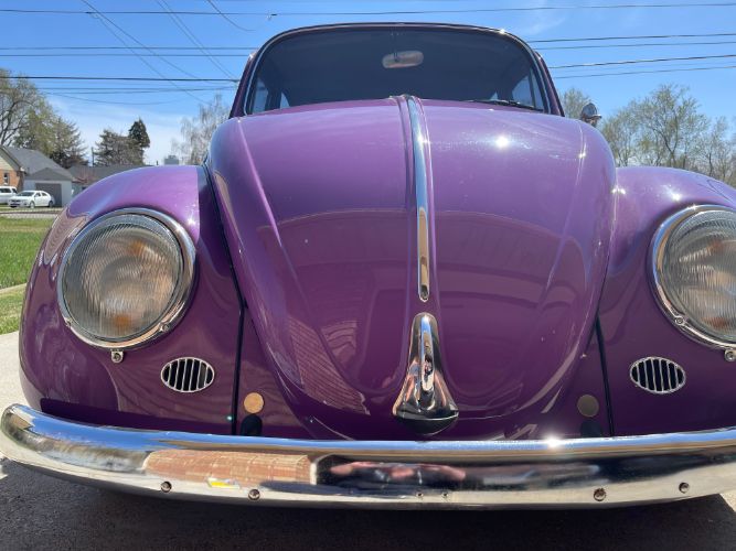 Unknown-Beetle-1966-20