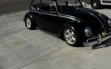 Unknown-Beetle-1966-3