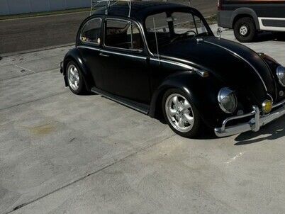 Unknown-Beetle-1966-3
