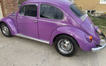 Unknown-Beetle-1966-37
