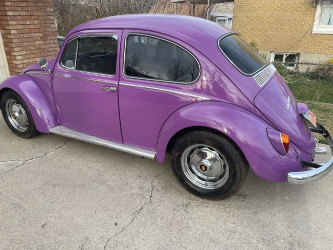 Unknown-Beetle-1966-37