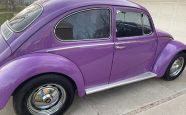 Unknown-Beetle-1966