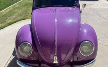Unknown-Beetle-1966-38