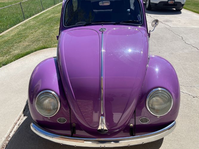 Unknown-Beetle-1966-38