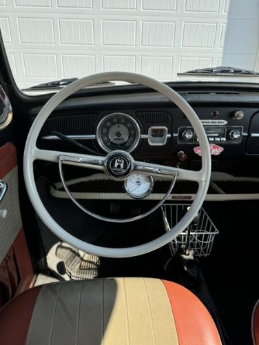 Unknown-Beetle-1966-4