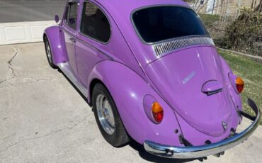 Unknown-Beetle-1966-40