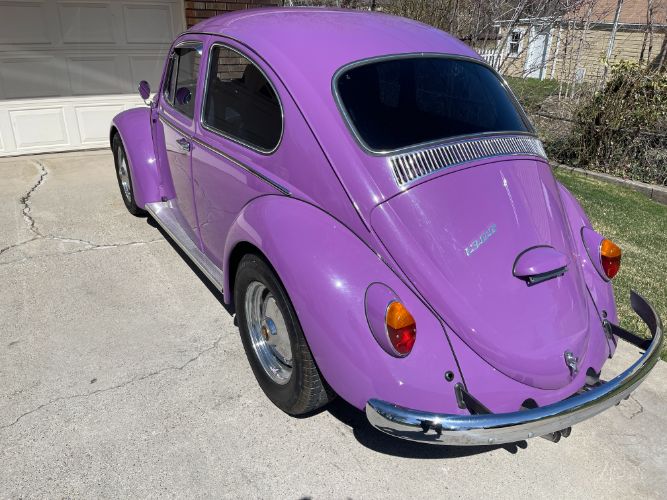 Unknown-Beetle-1966-40
