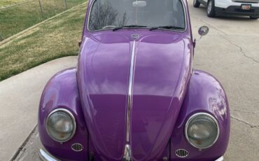 Unknown-Beetle-1966-44