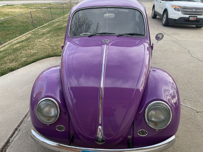 Unknown-Beetle-1966-44
