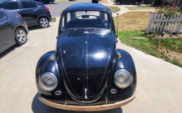 Unknown-Beetle-1966