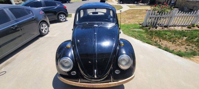 Unknown-Beetle-1966