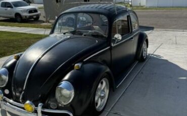 Unknown-Beetle-1966