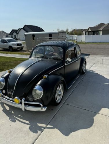Unknown-Beetle-1966