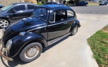 Unknown-Beetle-1966-6