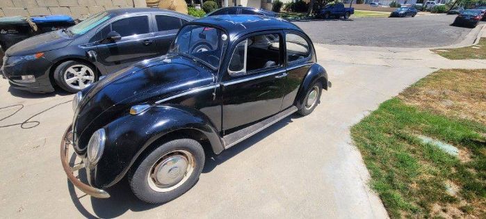 Unknown-Beetle-1966-6