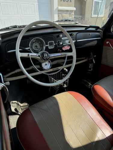 Unknown-Beetle-1966-6