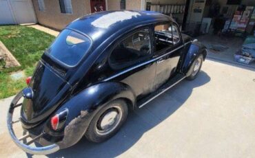 Unknown-Beetle-1966-8