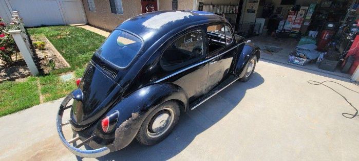 Unknown-Beetle-1966-8