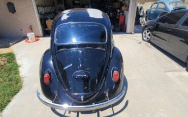 Unknown-Beetle-1966-9