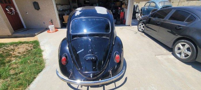 Unknown-Beetle-1966-9