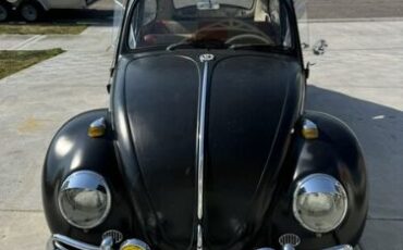 Unknown-Beetle-1966-9