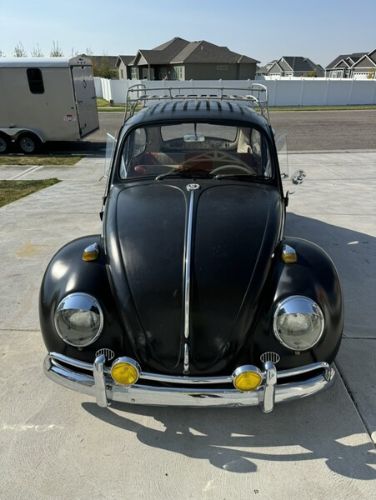 Unknown-Beetle-1966-9