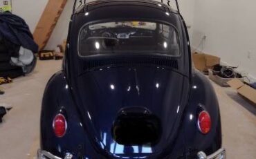 Unknown-Beetle-1966-Blue-1