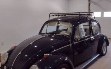 Unknown-Beetle-1966-Blue-13