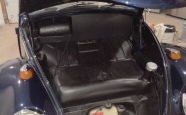 Unknown-Beetle-1966-Blue-23
