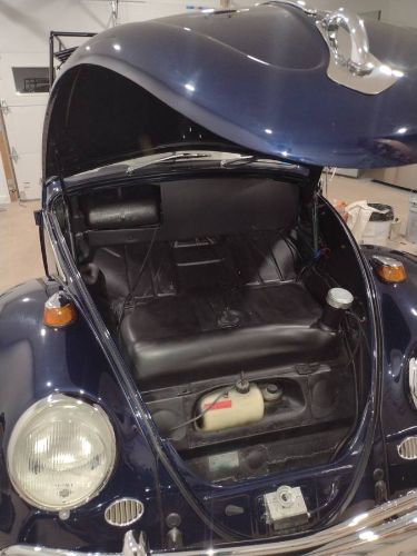 Unknown-Beetle-1966-Blue-23