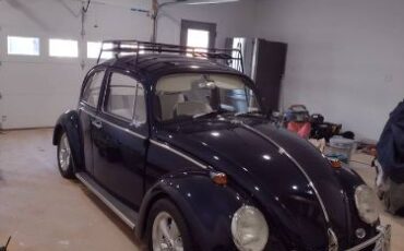 Unknown-Beetle-1966-Blue-6