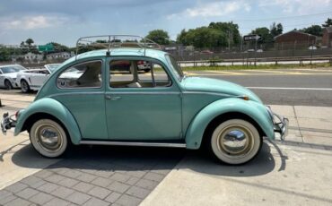 Unknown-Beetle-1966-Blue-Tahitian-1